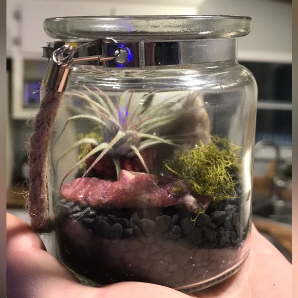 Handcrafted & Customized Crystal Gardens - Picture 2 of 15